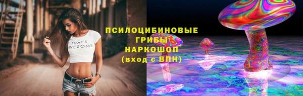 индика Алексеевка