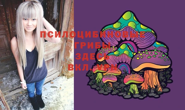 индика Алексеевка
