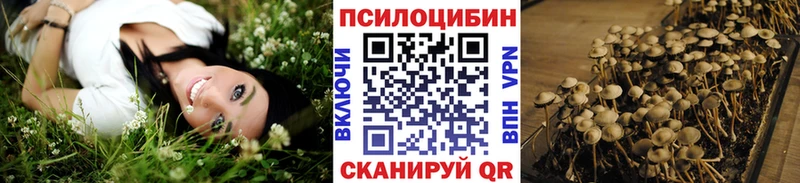Галлюциногенные грибы мицелий  где купить   Цимлянск 